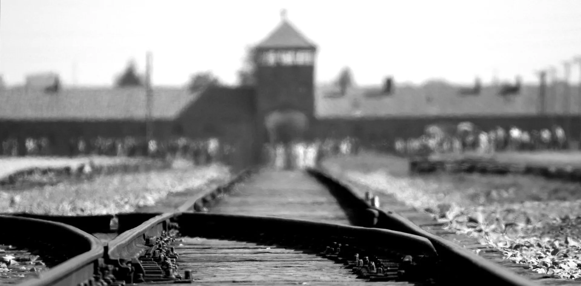 Trauma powojenna impulsem do zmian